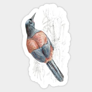 Mr Tieke, New Zealand Saddleback Sticker